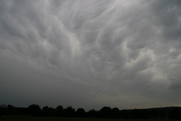 Eifelmammatus0507 034a.jpg